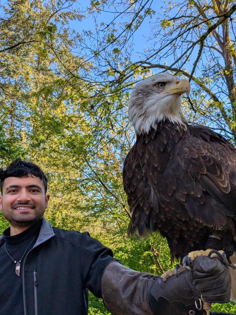 Usman with a bald eagle on his glove